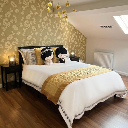 Entire Yellowapt Near Belfast City Centre - Free Parking - Up To 3 Guests - 2 Beds Eksteriør bilde