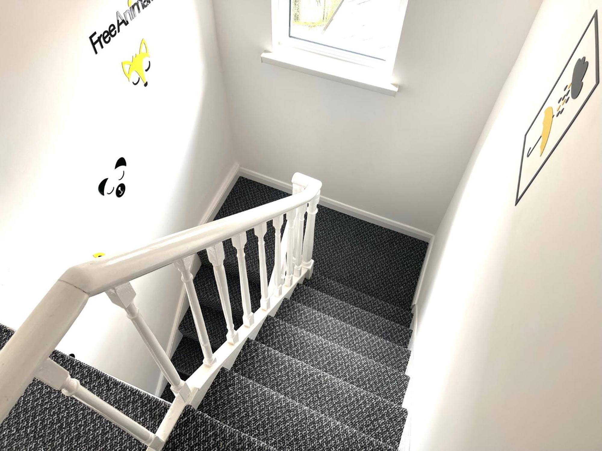 Entire Yellowapt Near Belfast City Centre - Free Parking - Up To 3 Guests - 2 Beds Eksteriør bilde